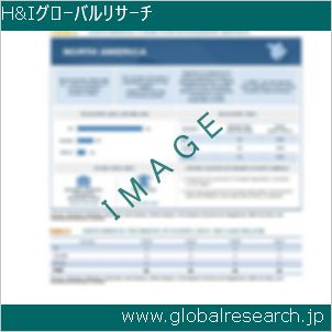 グローバルリサーチ調査レポートのイメージ